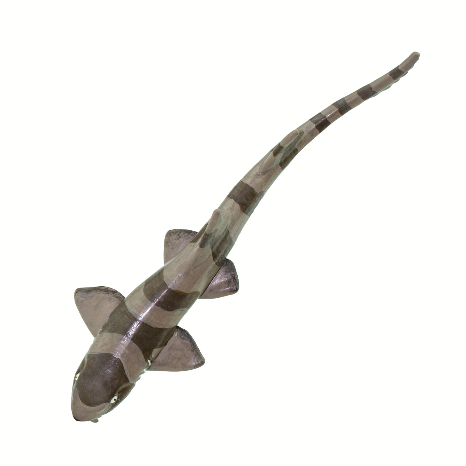 Safari Ltd. - Bamboo Shark Kids Toy Figure