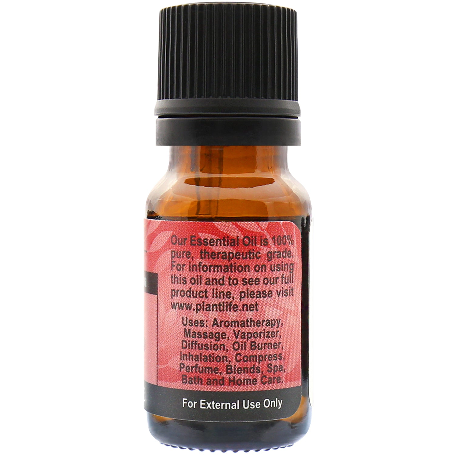 Plantlife Mugwort Essential Oil