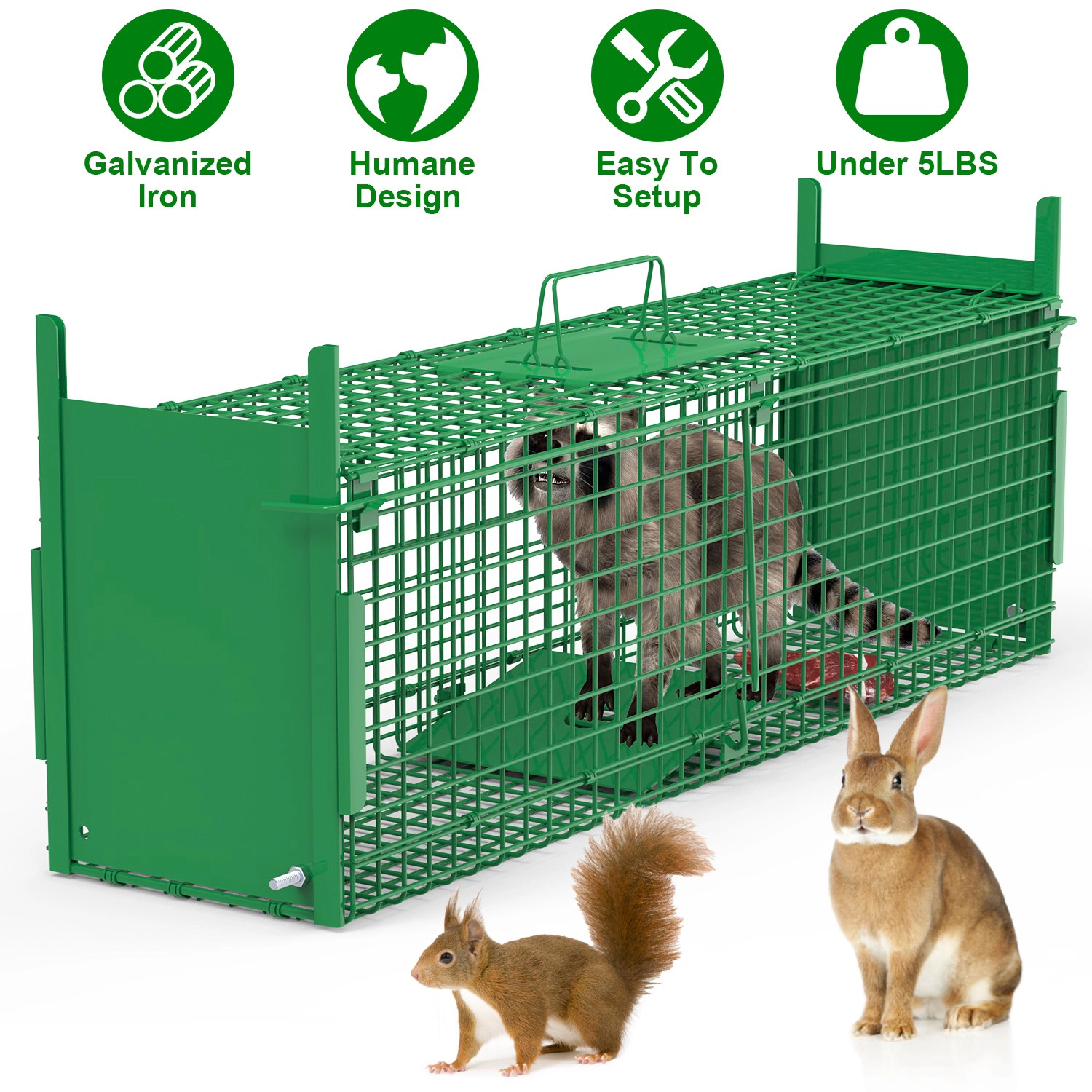 GBruno 40-Inch 2-Door Live Animal Trap Cage