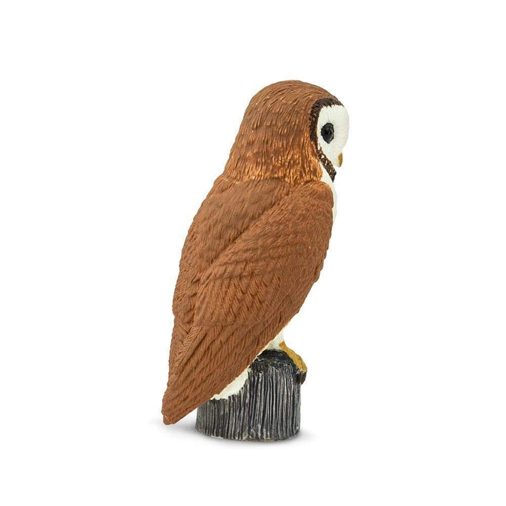 Safari Ltd. - Barn Owl Kids Toy Figure