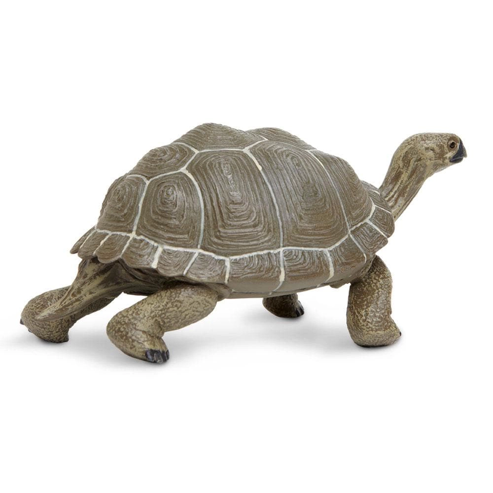 Safari Ltd. - Tortoise Kids Toy Figure