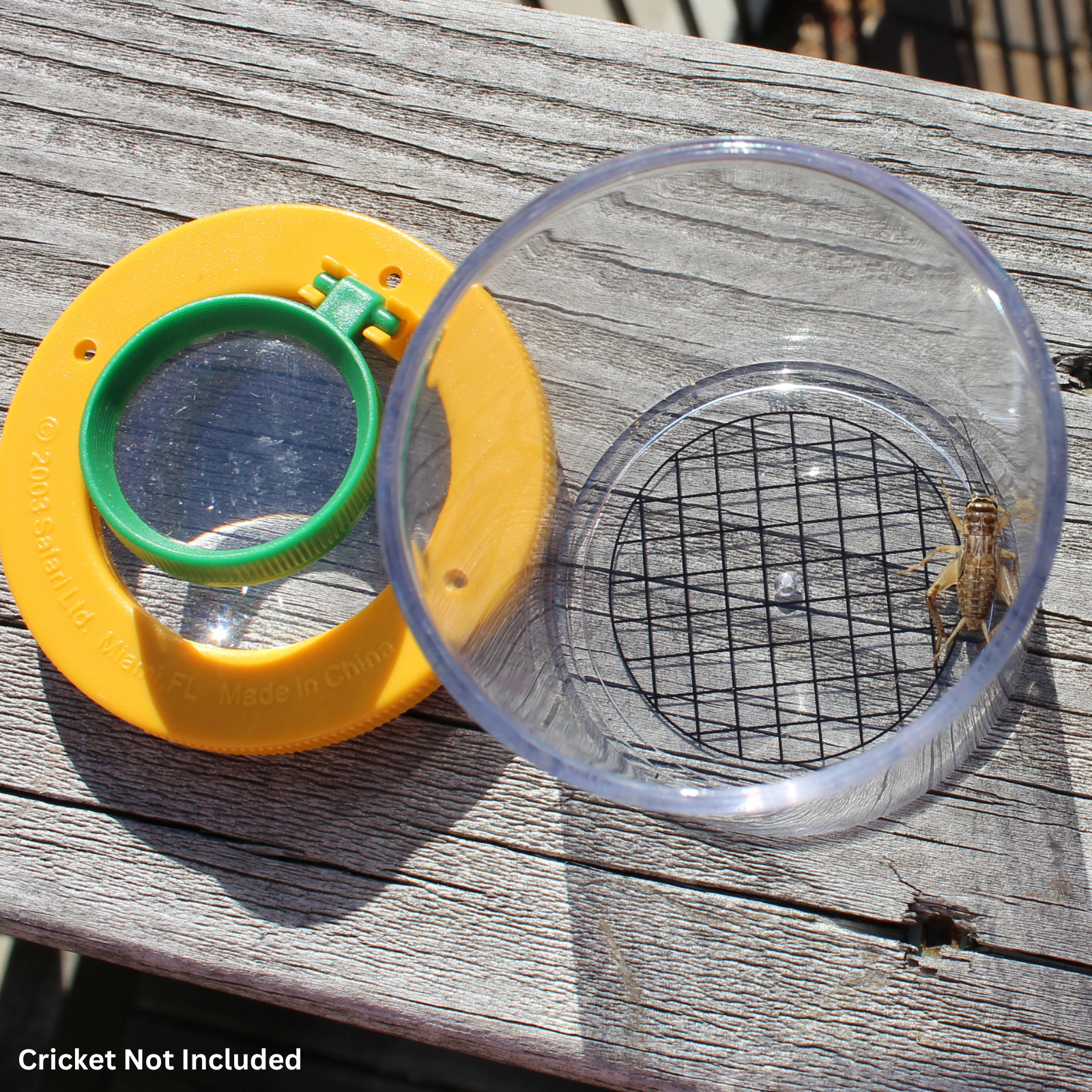 Safari Ltd. - World's Best Bug Jar - Insect Collector for Kids