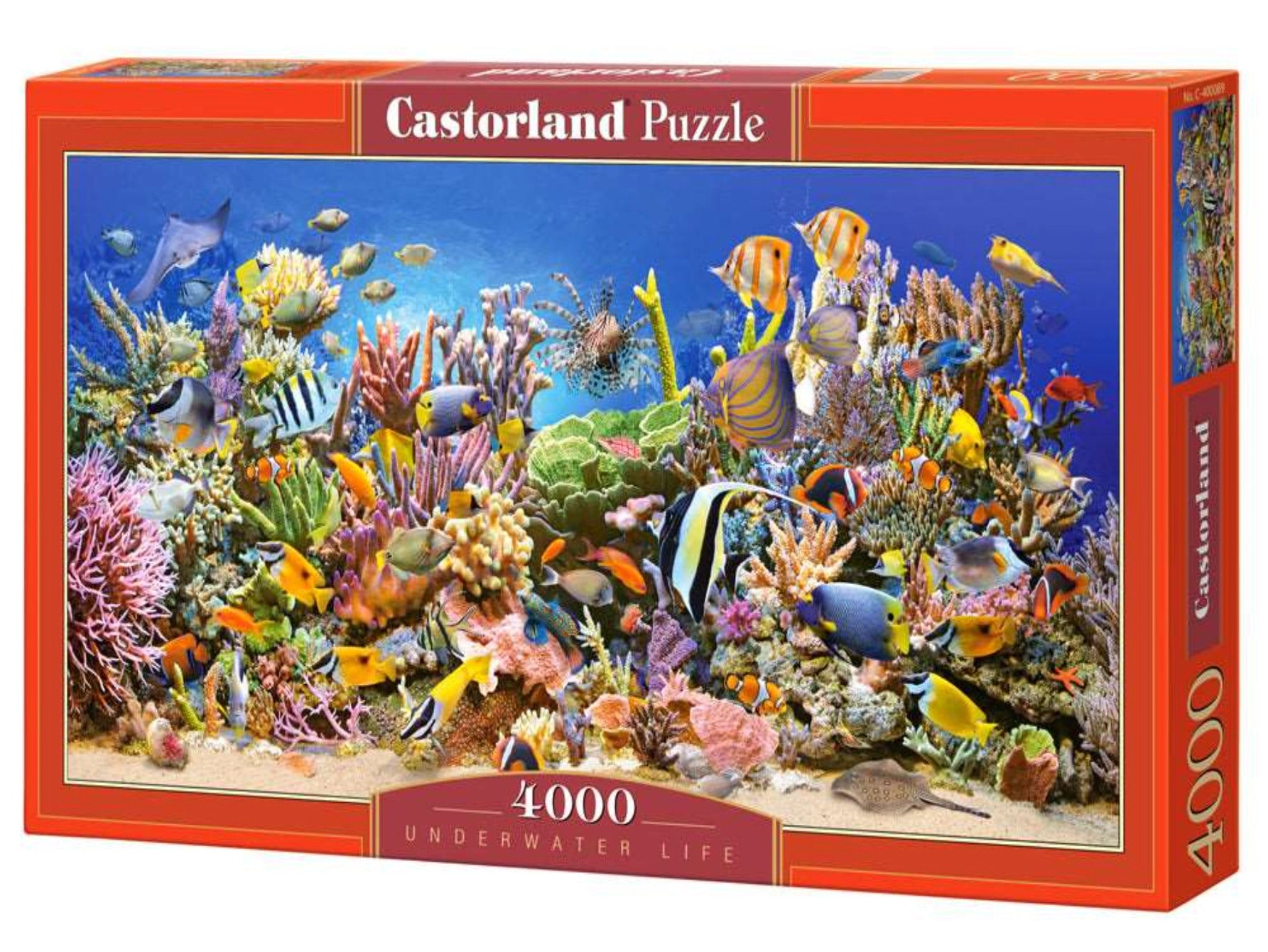 CASTORLAND 4000 Piece Jigsaw Puzzles, Underwater life, Sealife, Ocean, Adult Puzzles, Castorland C-400089-2