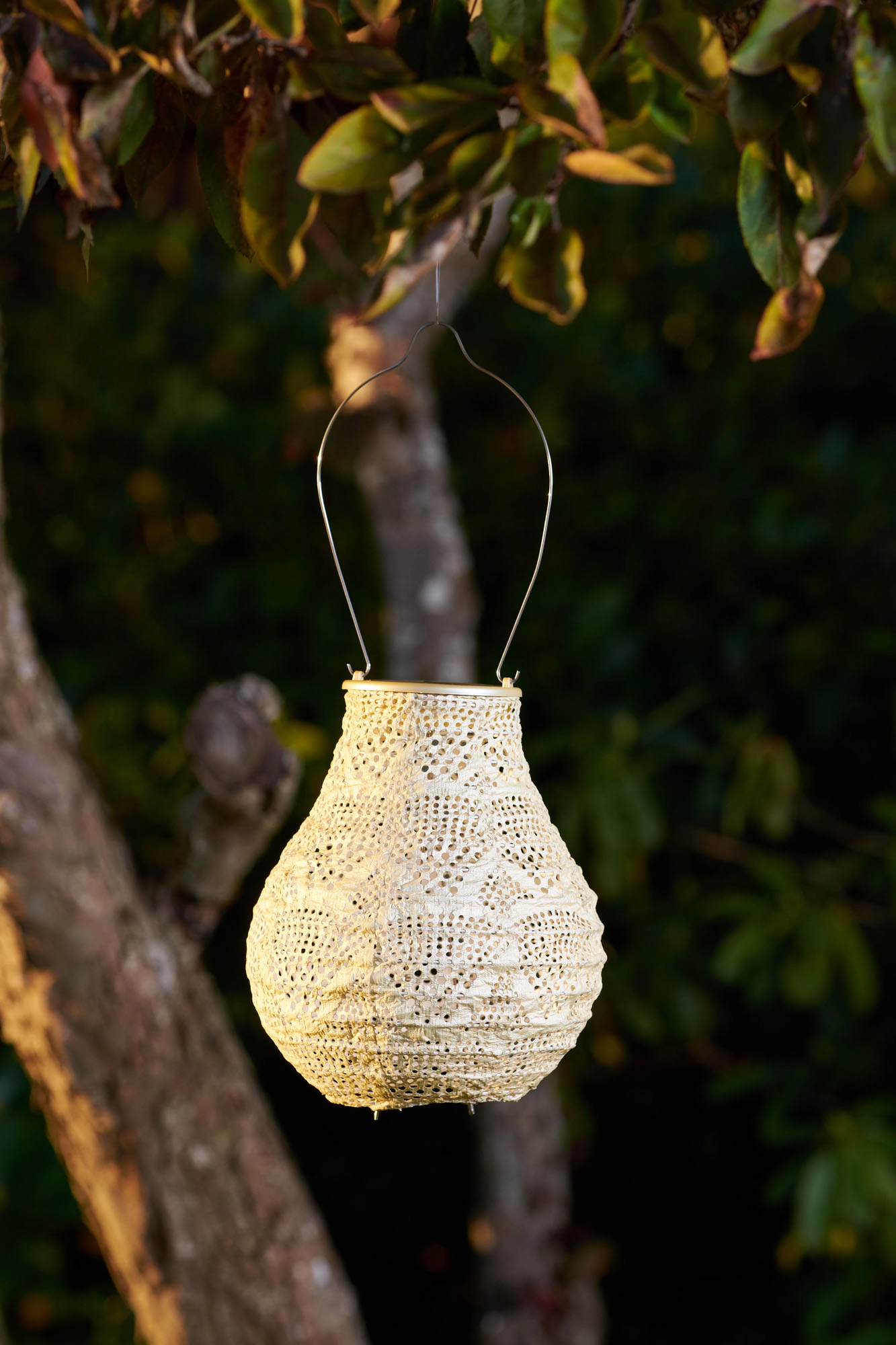 Allsop Home & Garden Soji Stella Bulb 8 Solar Lantern