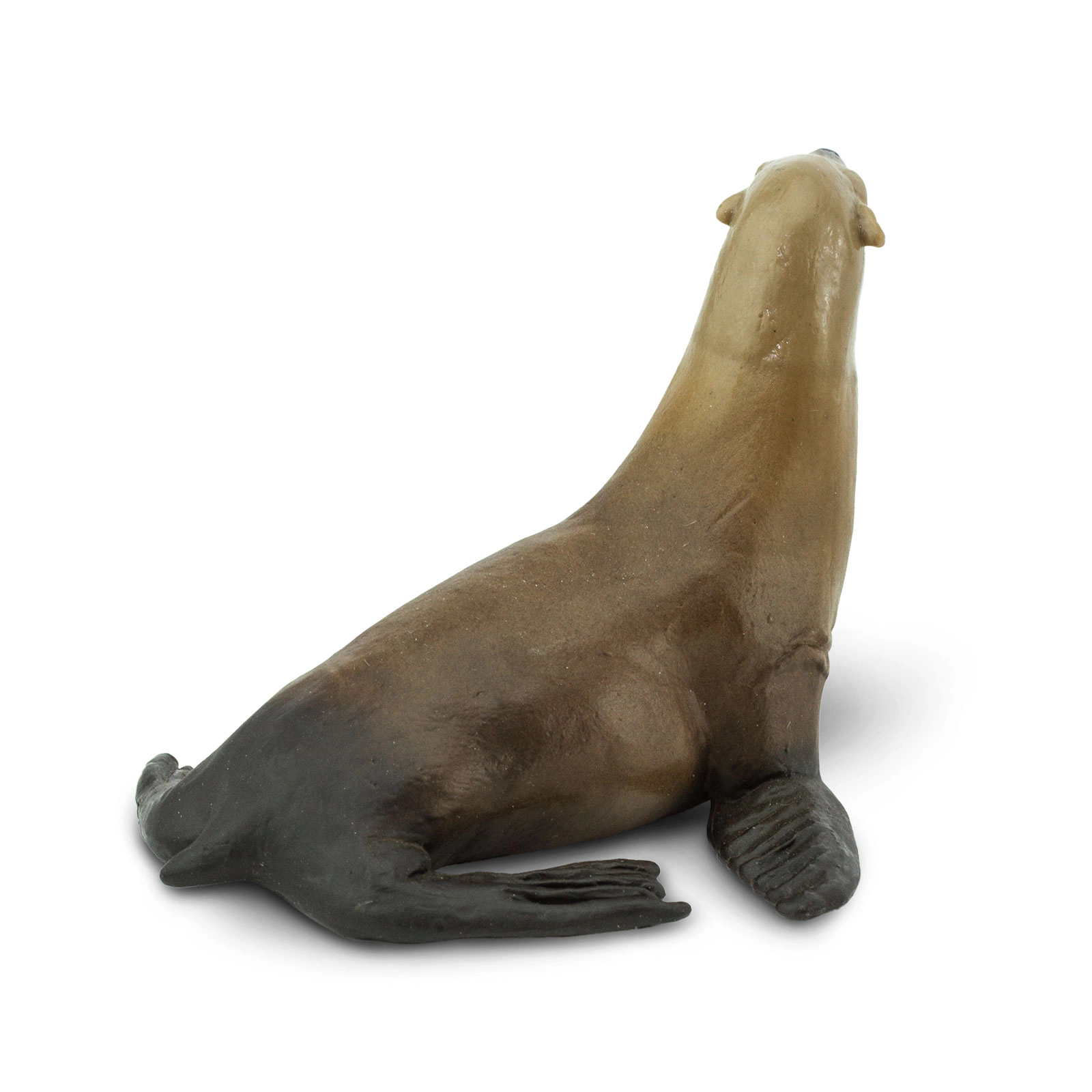 Safari Ltd. - Sea Lion Kids Toy Figure
