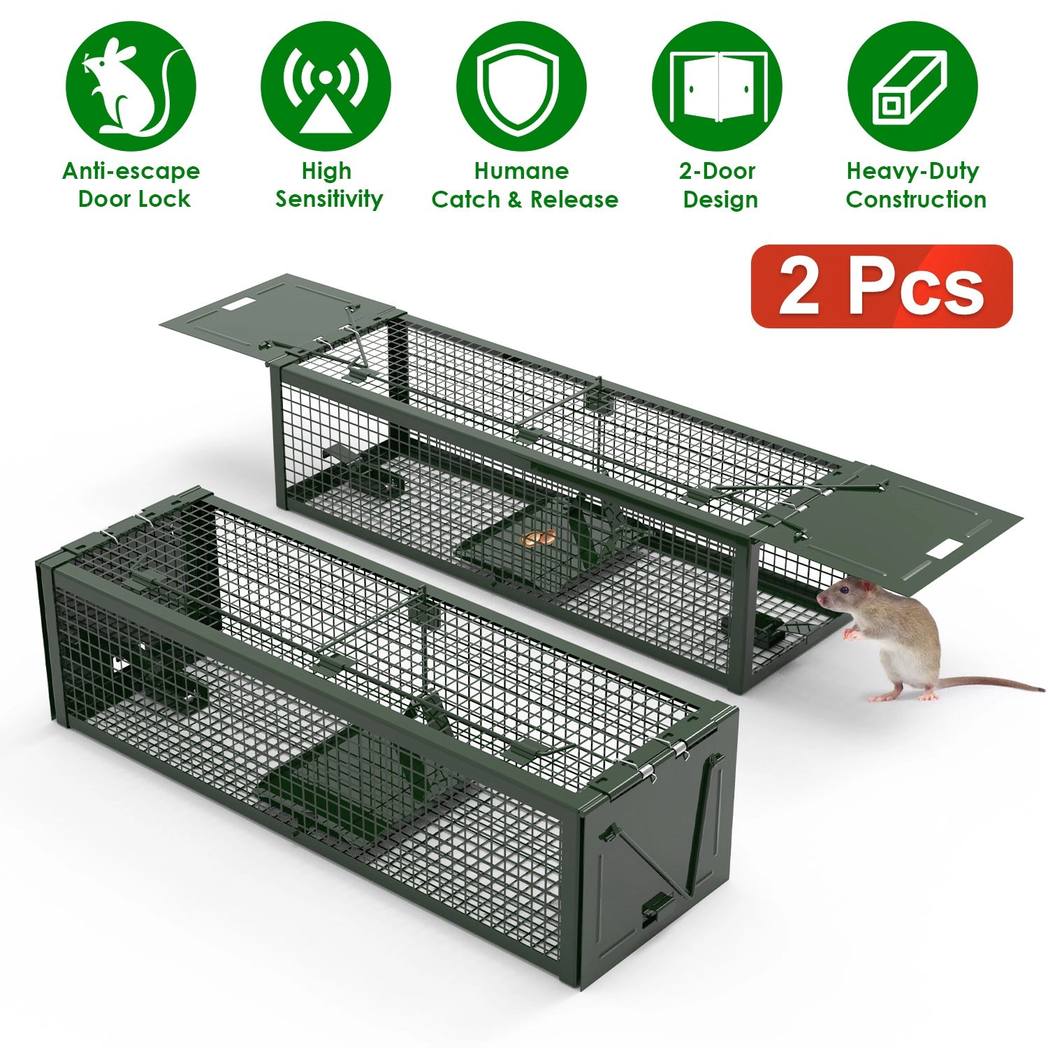 GBruno 2-Pc Dual-Door Live Rat Trap Cage