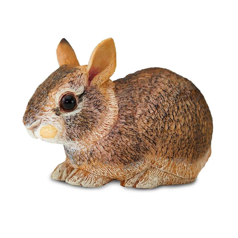Safari Ltd. - Eastern Cottontail Rabbit Baby Kids Toy Figure