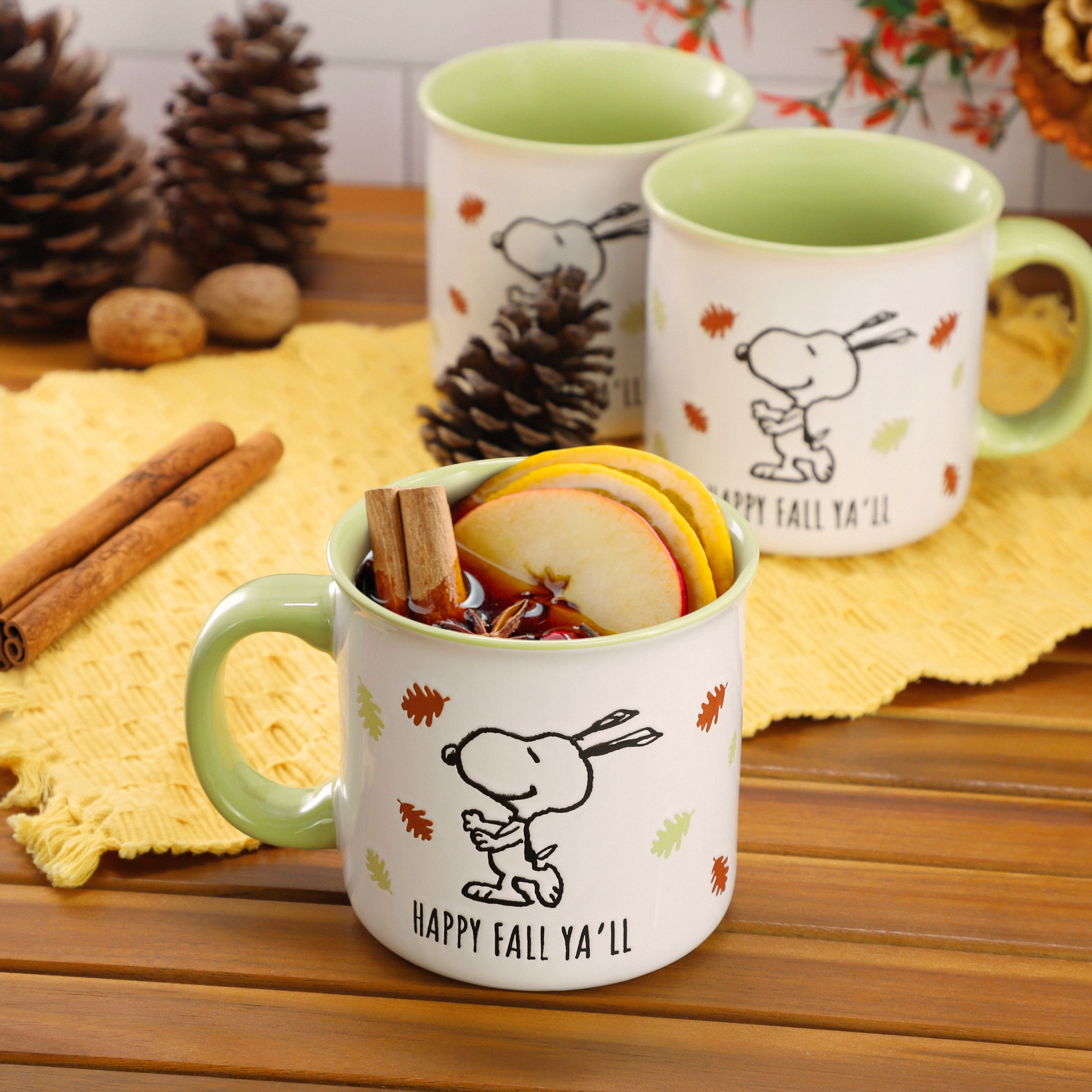 Peanuts Happy Fall Ya'll Ounce 6 Piece Stoneware Mug Set in