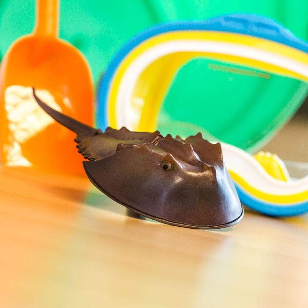 Safari Ltd. - Horseshoe Crab Kids Toy Figure