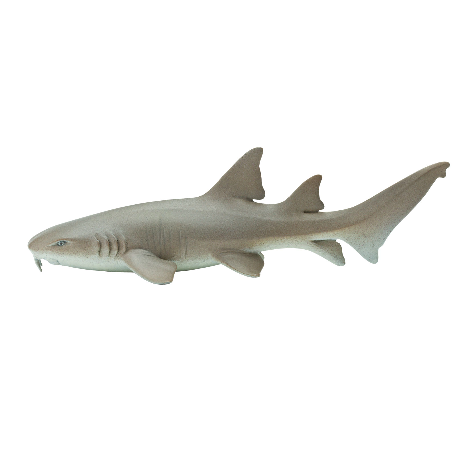 Safari Ltd. - Nurse Shark Kids Toy Figure