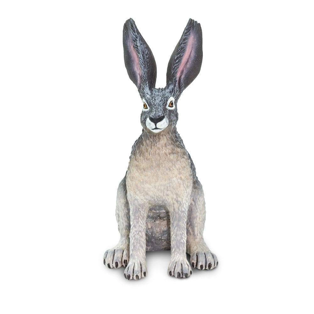 Safari Ltd. - American Desert Hare Kids Toy Figure