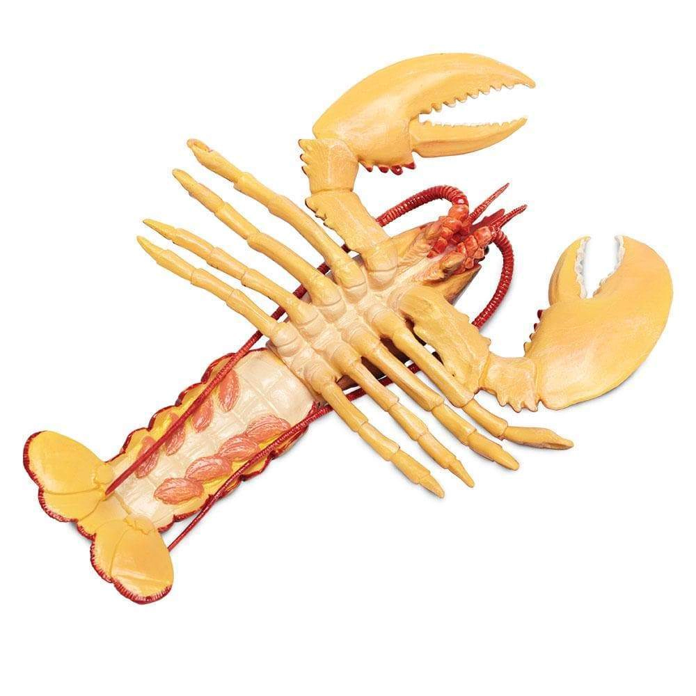 Safari Ltd. - Maine Lobster Kids Toy Figure