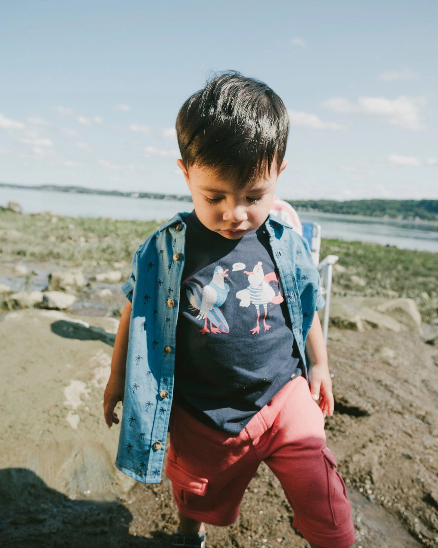 Deux par Boys Organic Cotton Seagull Graphic Short Sleeve T-Shirt