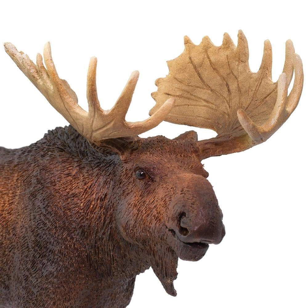 Safari Ltd. - Moose Kids Toy Figure