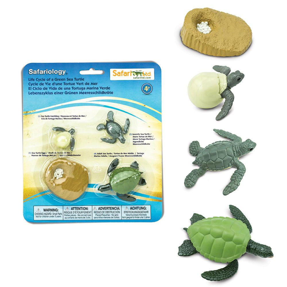 Safari Ltd. - Life Cycle of a Green Sea Turtle - Miniature Lifecycle Collection