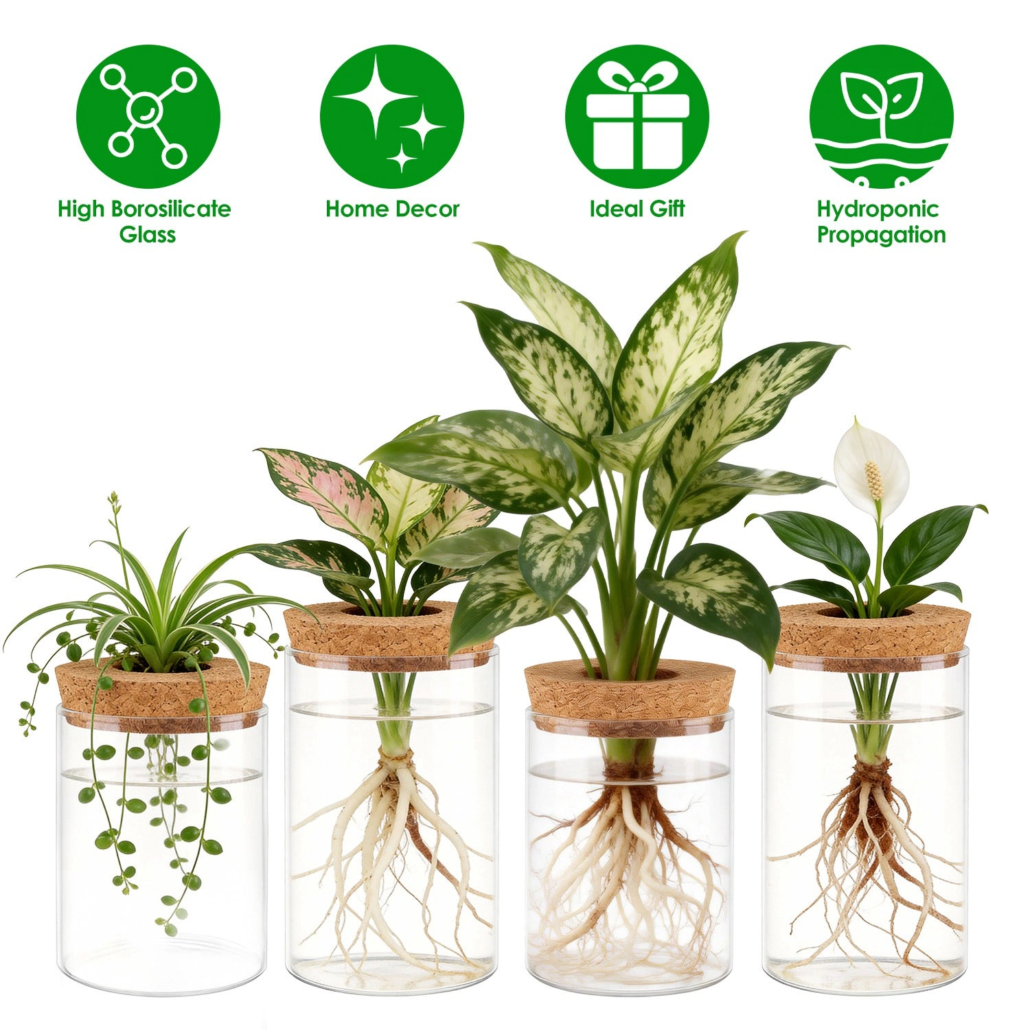 GBruno Glass Propagation Stations With Cork Lids