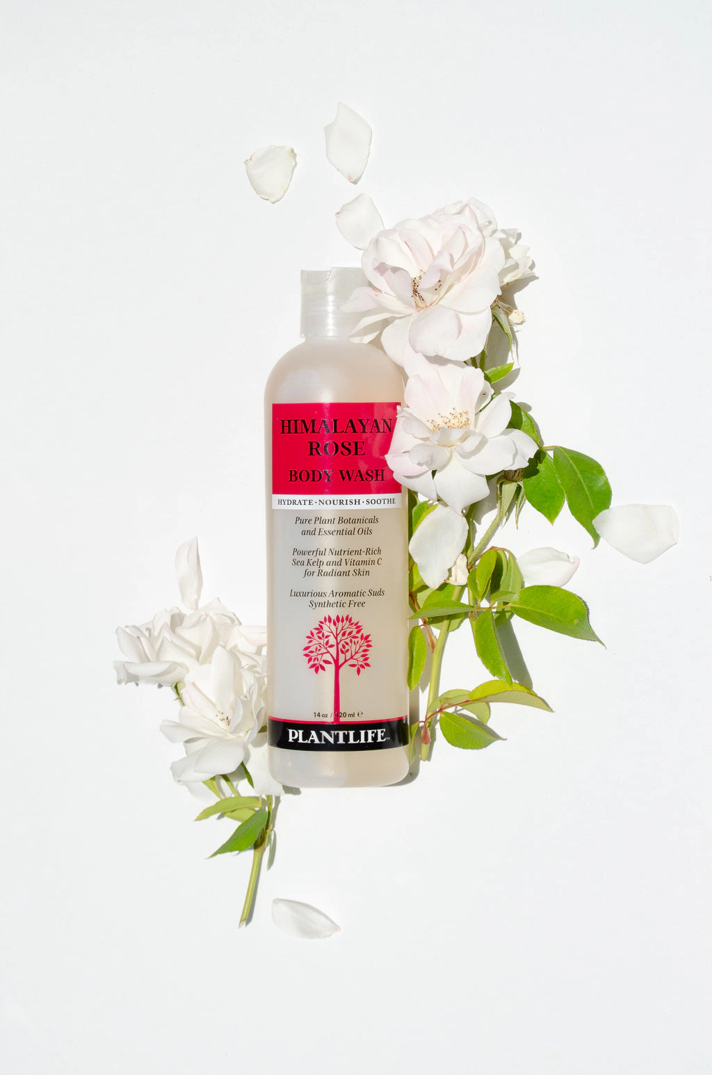Plantlife Himalayan Rose Body Wash