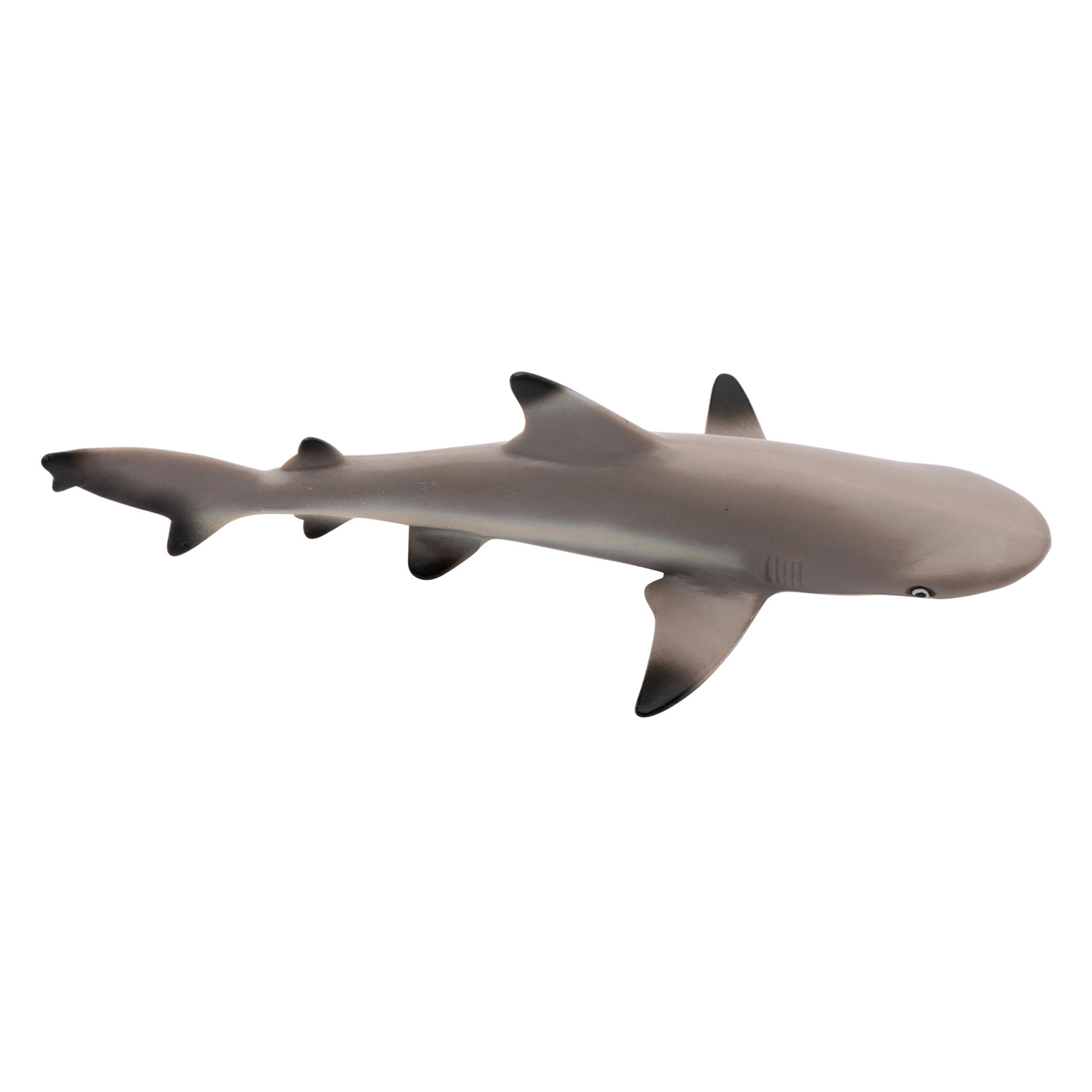 Safari Ltd. - Blacktip Reef Shark Kids Toy Figure