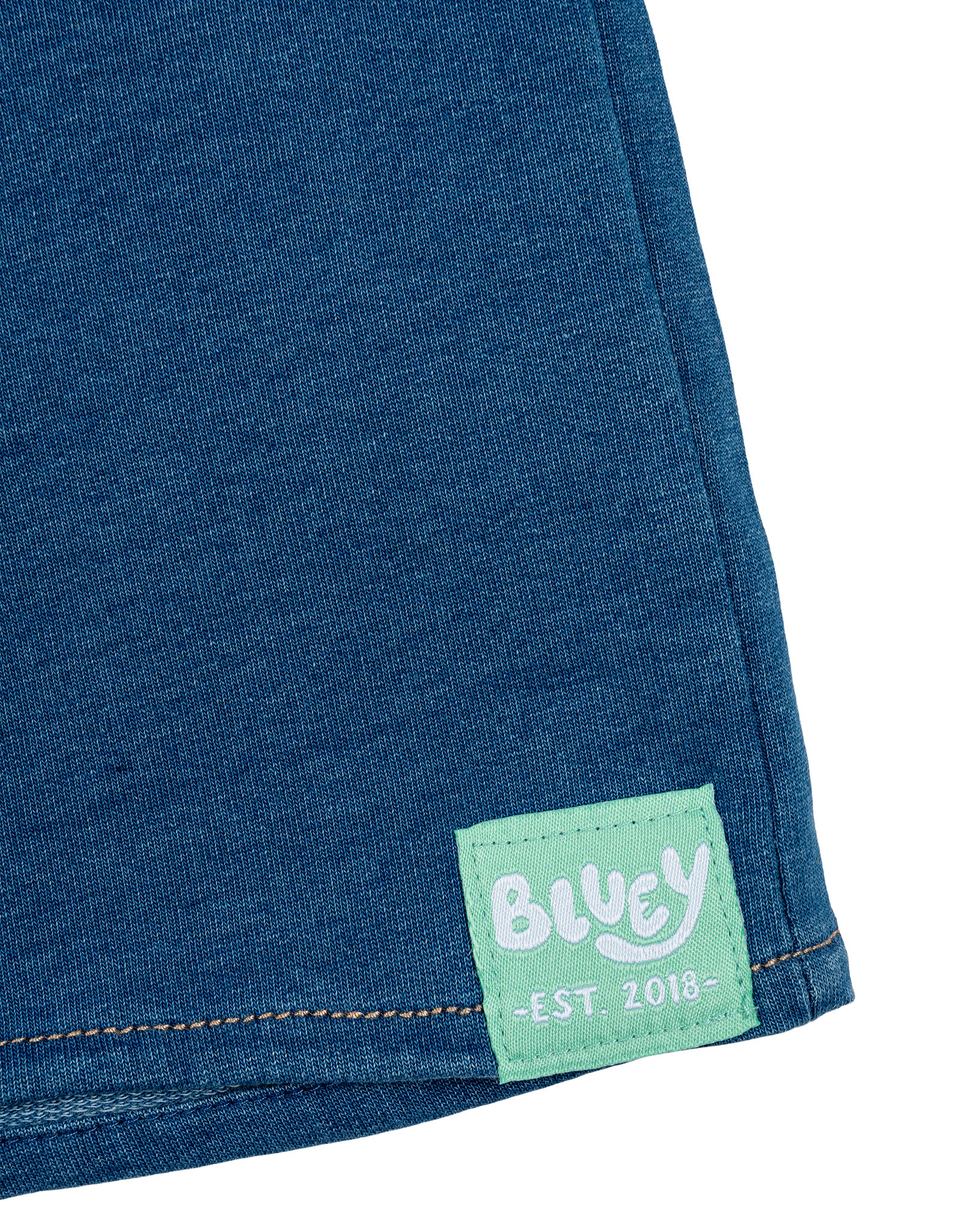 Bluey Boys' 2-Piece T-Shirt and Shorts Set