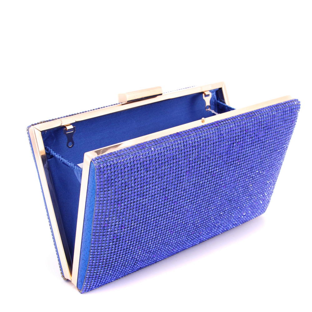 FASHNZFAB Shimmery Evening Clutch Bag