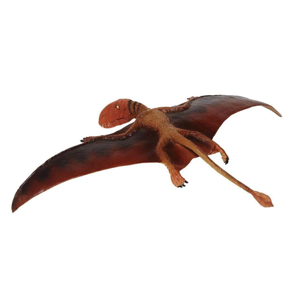 Safari Ltd. - Dimorphodon Kids Prehistoric/Dinosaur Toy Figure