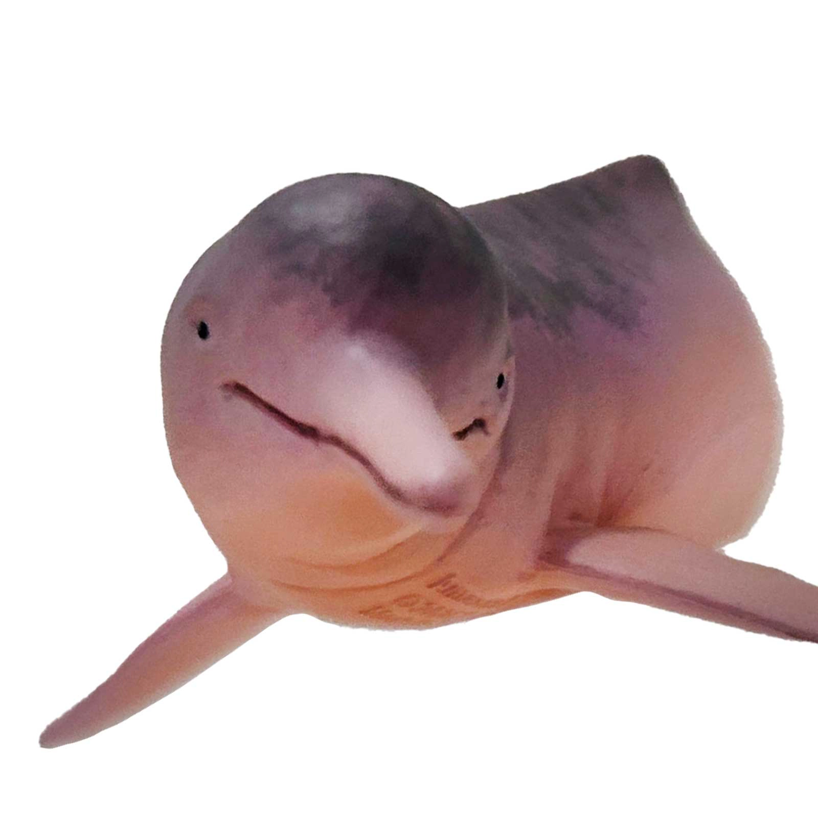 Safari Ltd. - Amazon River Dolpin Kids Toy Figure