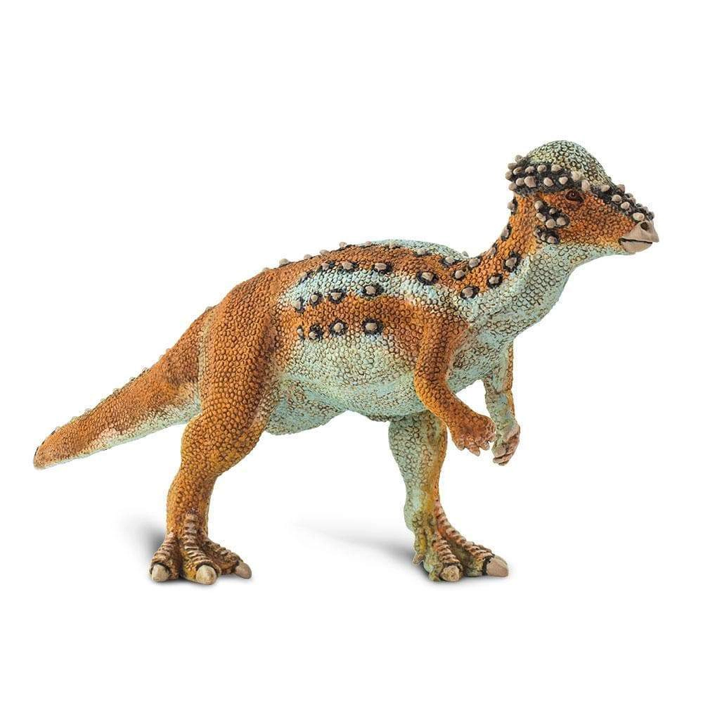 Safari Ltd. - Pachycephalosaurus Kids Prehistoric/Dinosaur Toy Figure