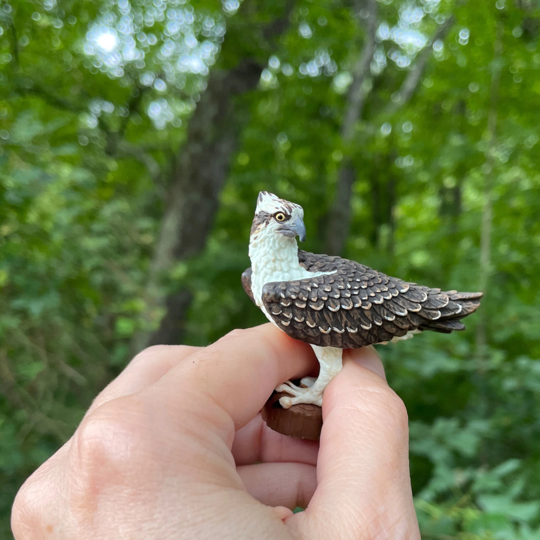 Safari Ltd. - Osprey Kids Toy Figure