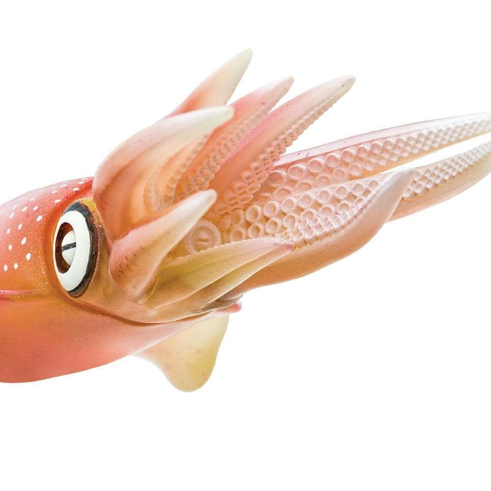 Safari Ltd. - Reef Squid Kids Toy Figure