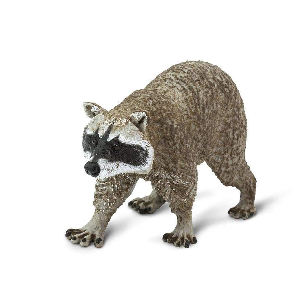 Safari Ltd. - Raccoon Kids Toy Figure
