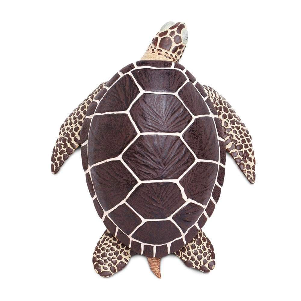 Safari Ltd. - Sea Turtle Kids Toy Figure