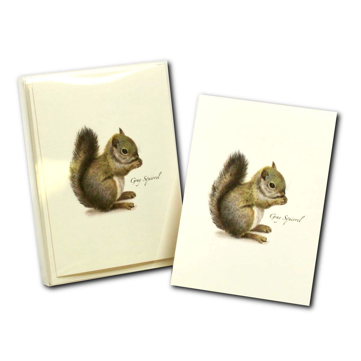 Earth Sky + Water Gray Squirrel Notecard Set - 8 Blank 3.5 x 5 in Cards with Envelopes
