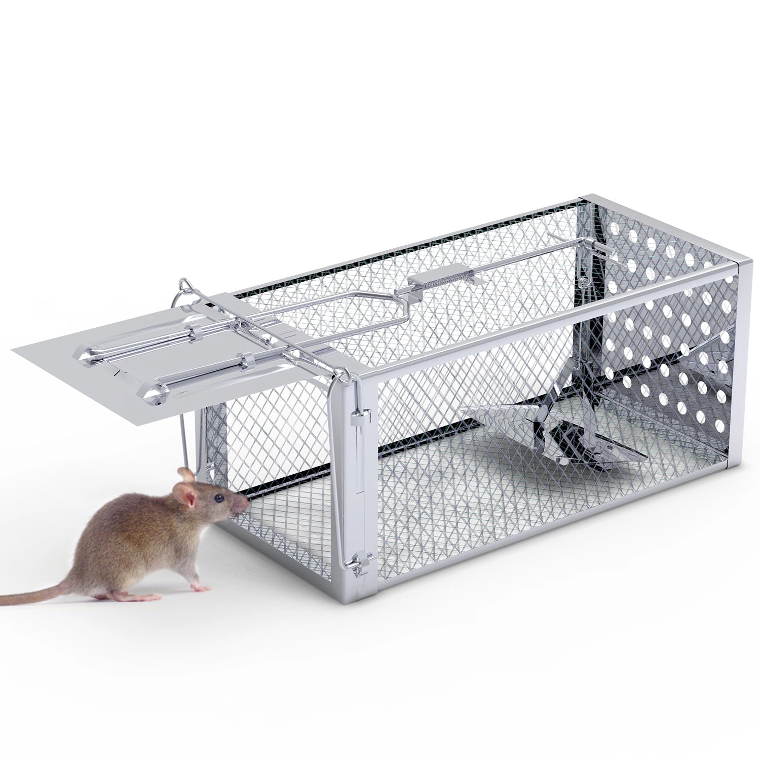 GBruno Stainless Steel Single Door Rat Trap Cage