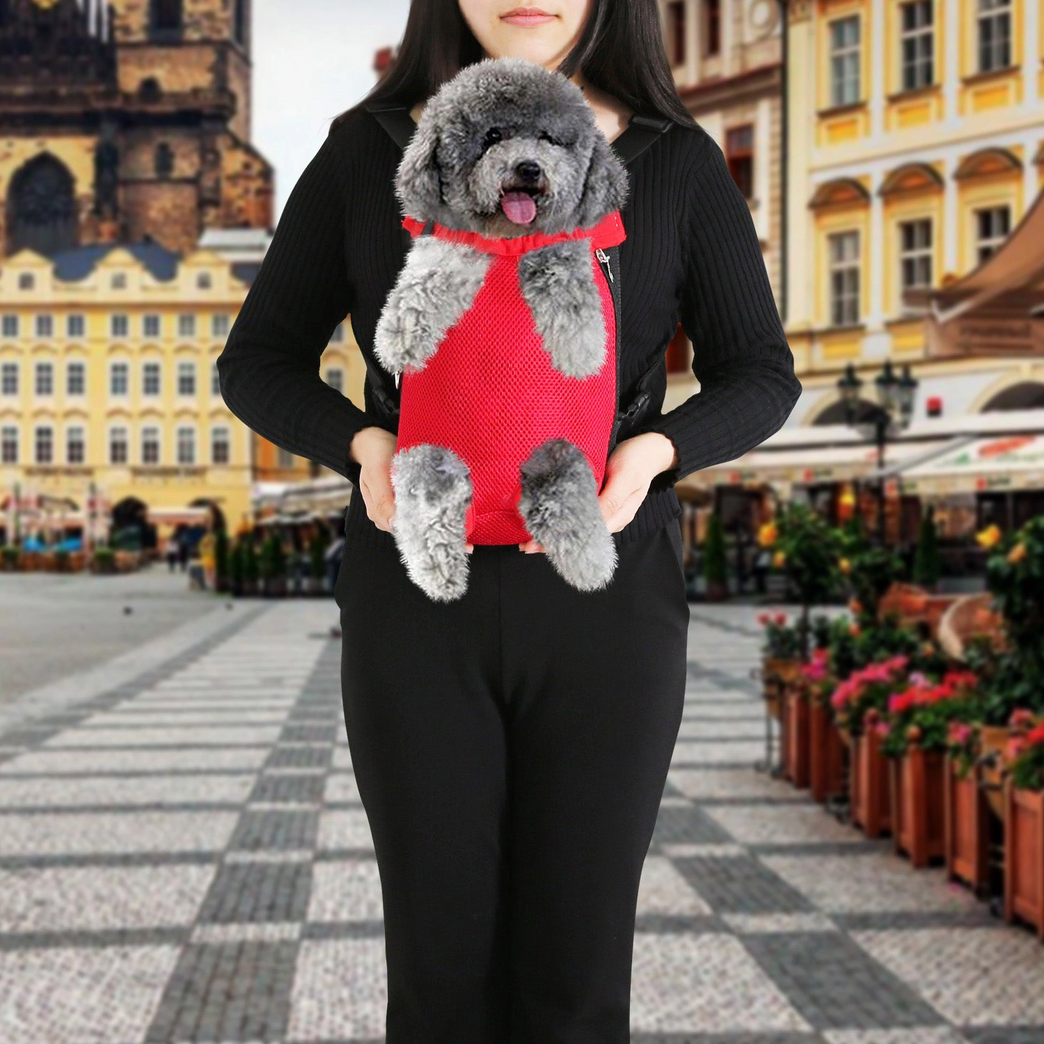 GBruno Legs-Out Dog Carrier Backpack