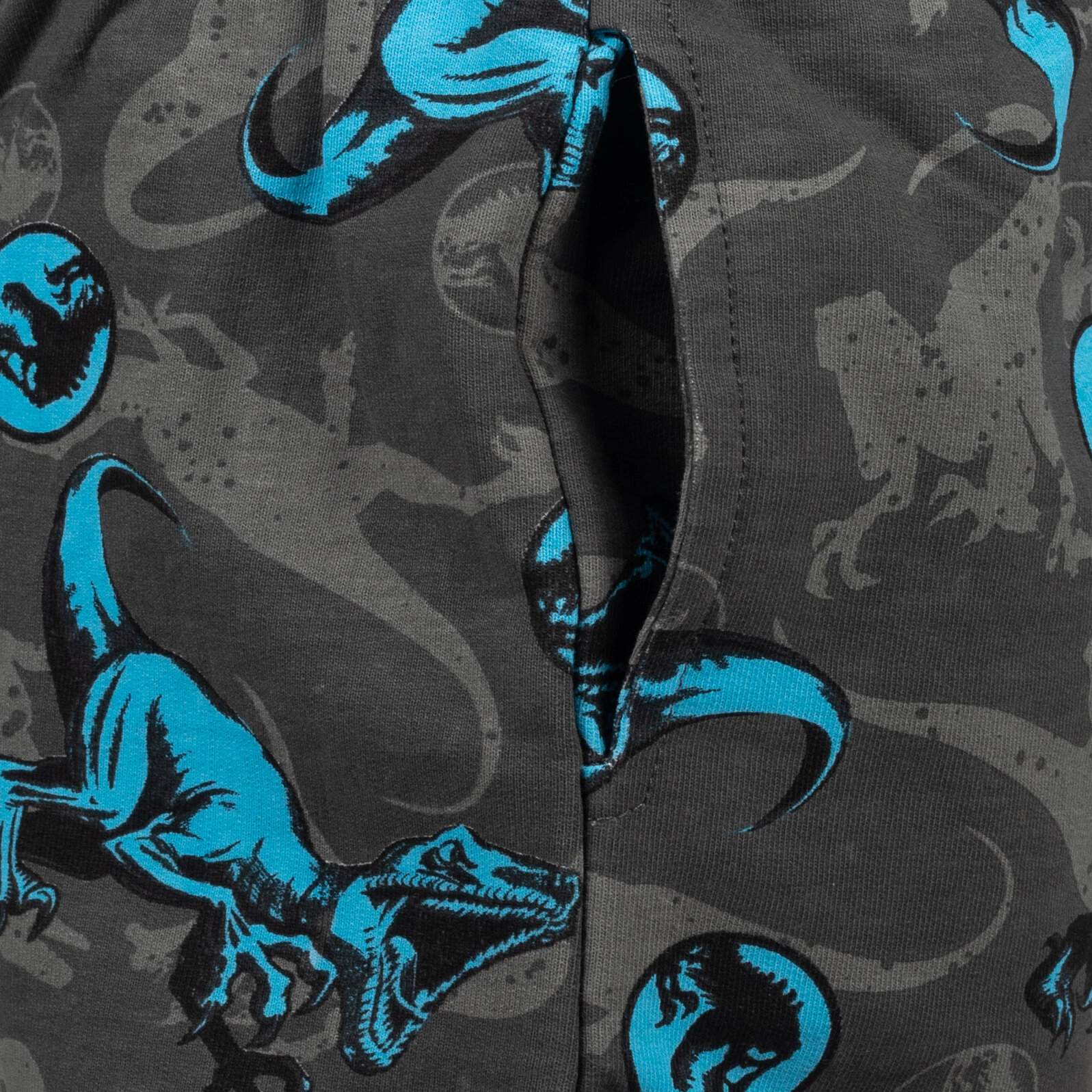 Jurassic World Park T-Rex Boys' 2-Piece T-Shirt and Shorts Set