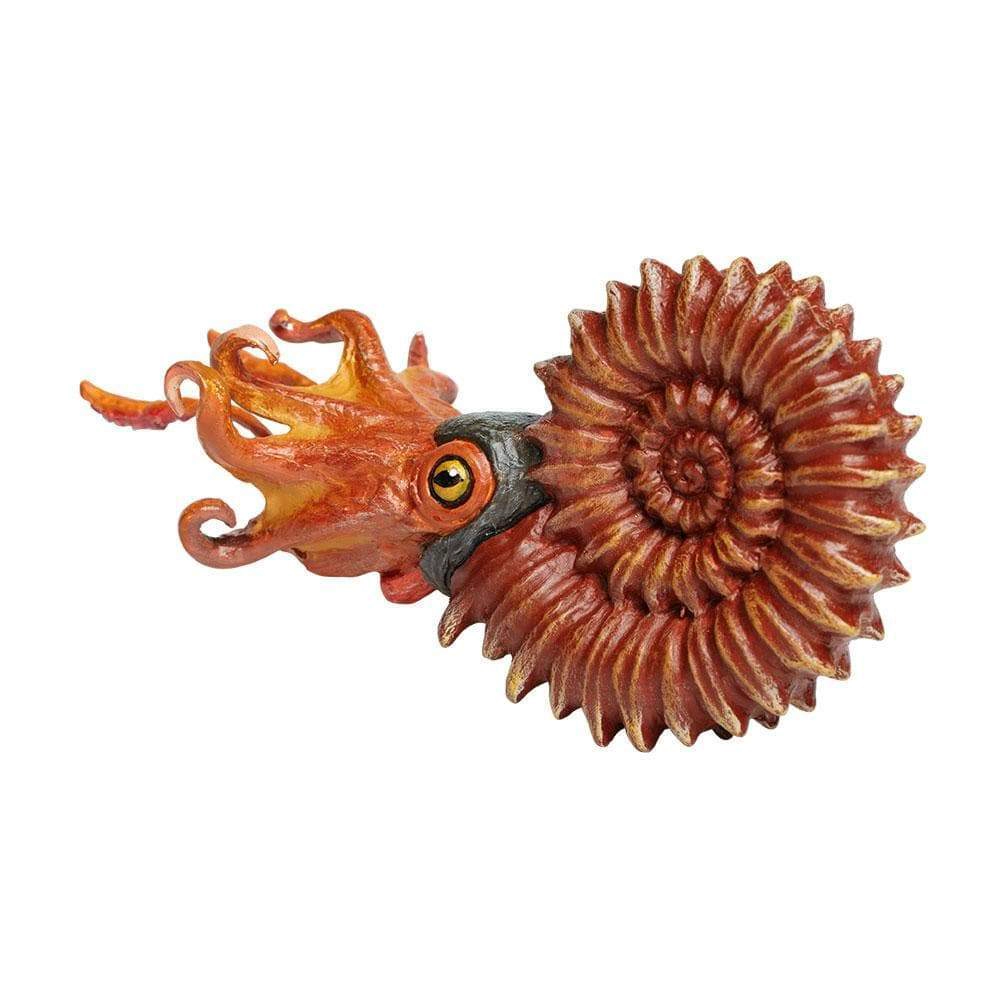 Safari Ltd. - Ammonite Kids Prehistoric/Dinosaur Toy Figure
