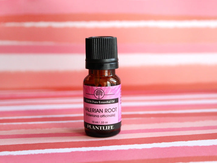 Plantlife Valerian Root Essential Oil
