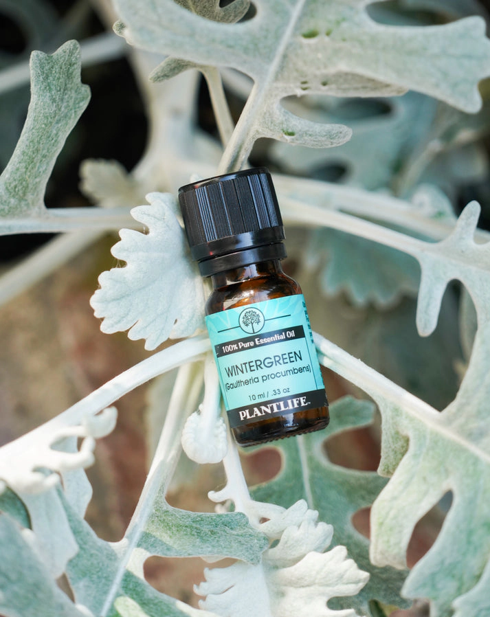 Plantlife Wintergreen Essential Oil