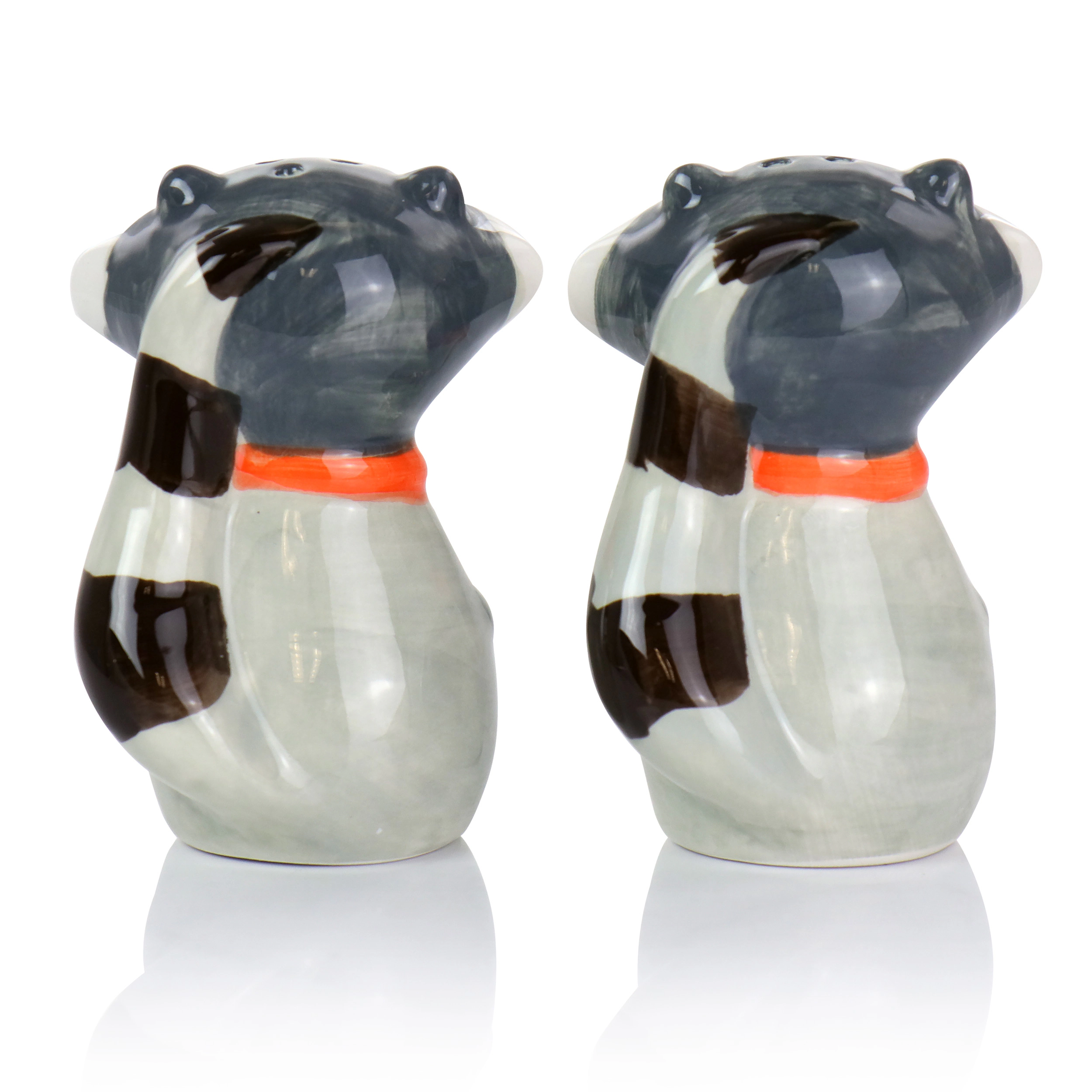 Gibson Home Woodland Raccoon 2 Piece Hard Dolomite Salt and Pepper Set