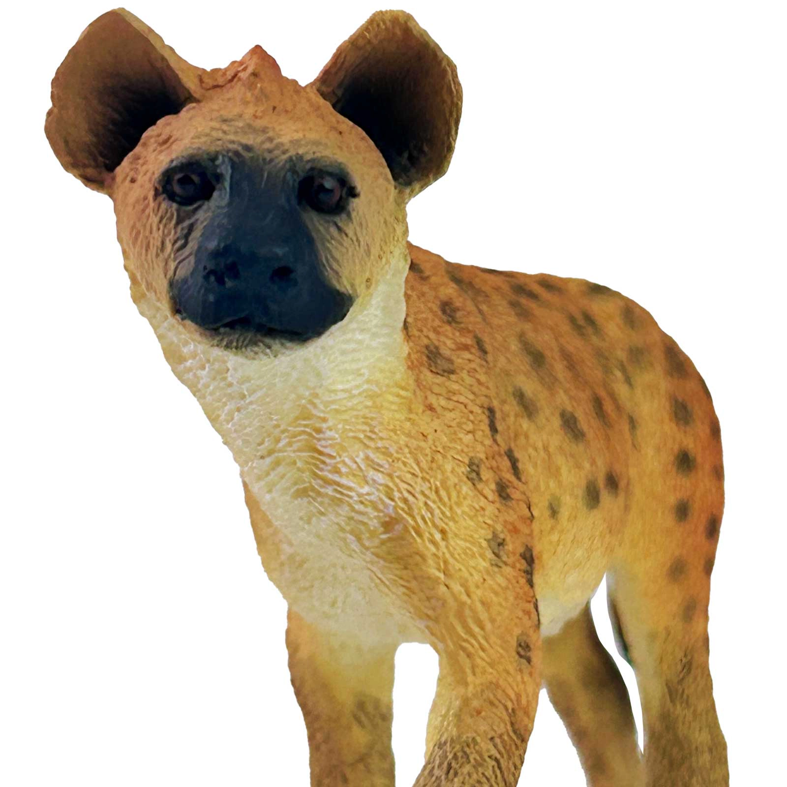 Safari Ltd. - Spotted Hyena Kids Toy Figure