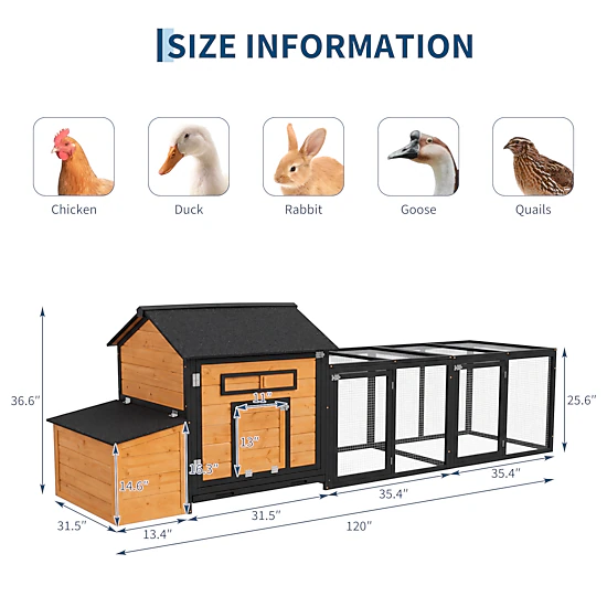 BebreezChic Large Wooden Chicken Coop for 3-5 Chickens – Elevated Hen ...