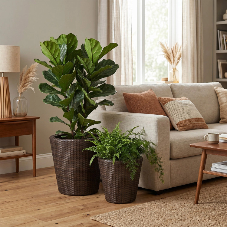 Hivvago Set of 2 Plastic Taper Rattan Planters with Drainage Holes and Saucers
