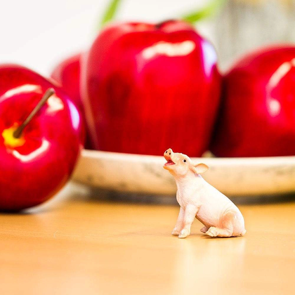 Safari Ltd. - Sitting Piglet Kids Toy Figure