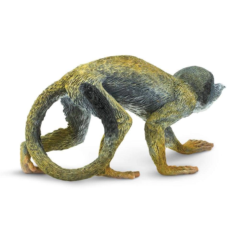 Safari Ltd. - Squirrel Monkey Kids Toy Figure