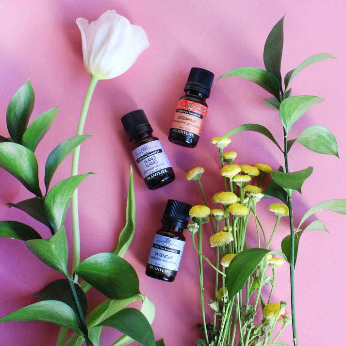 Plantlife Ylang Ylang Essential Oil