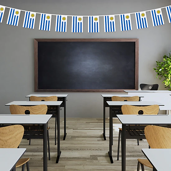 G128 Uruguay Bunting Banner - 33 ft String with 38 Mini Flags, 150D ...