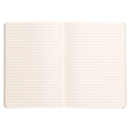 Rhodia Rhodiarama Softcover Notebook - Lined 80 Sheets - 6 x 8.25 in - Anise