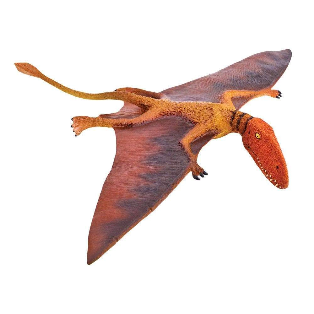 Safari Ltd. - Dimorphodon Kids Prehistoric/Dinosaur Toy Figure