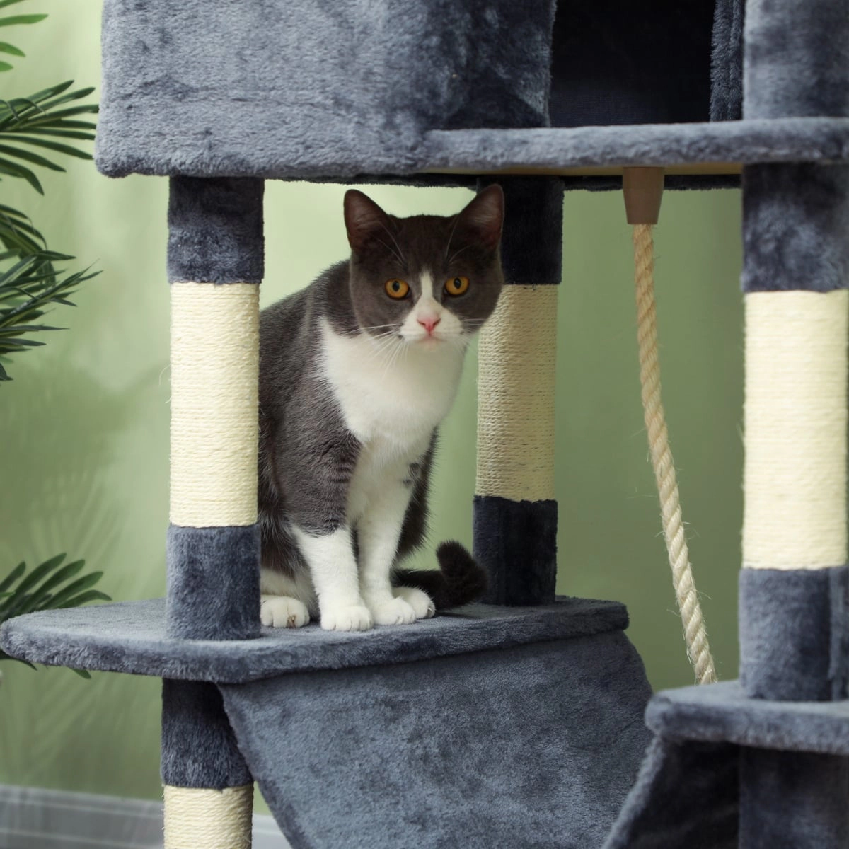 212 Main Paw Hut 81 in. Cat Tree with Cat Scratching Posts - Gray