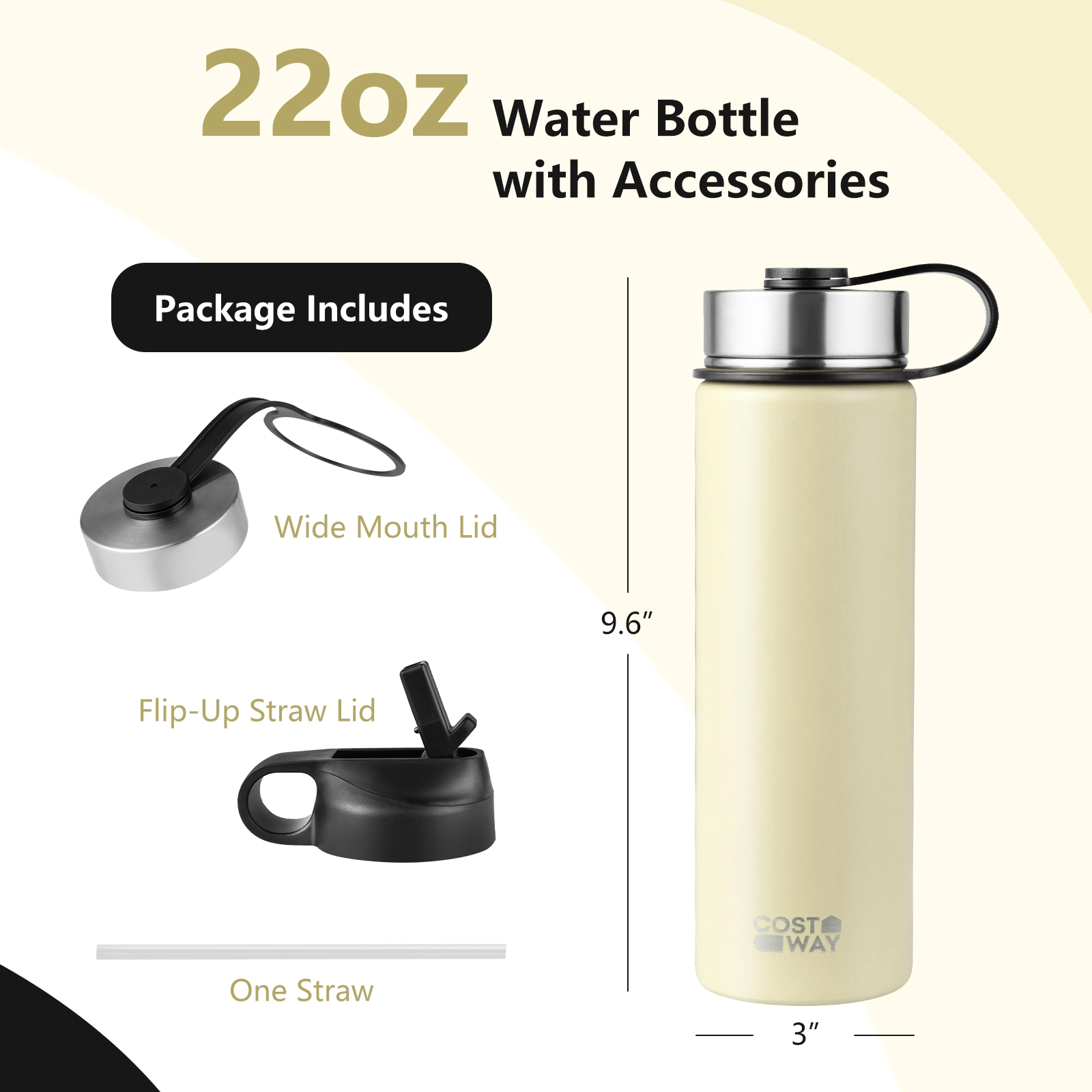 LJG 22 Oz Double-Walled Insulated Stainless Steel Water Bottle with 2 Lids and Straw